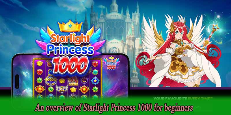 An overview of Starlight Princess 1000 for beginners