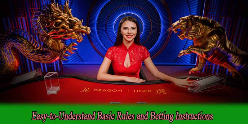 Easy-to-Understand Basic Rules and Betting Instructions