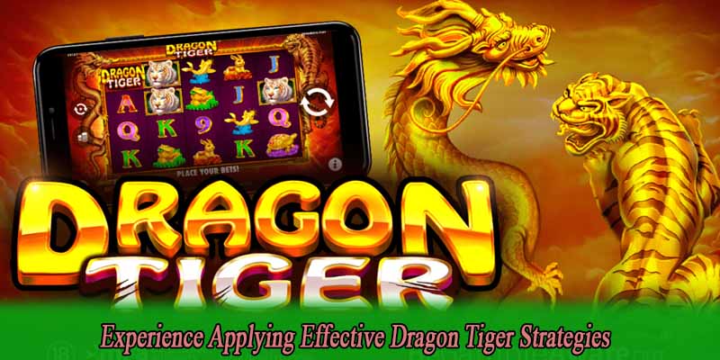 Experience Applying Effective Dragon Tiger Strategies