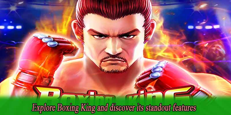 Explore Boxing King and discover its standout features
