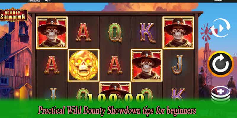 Practical Wild Bounty Showdown tips for beginners